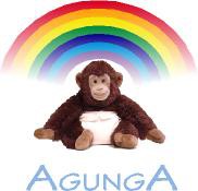 Questionario AgungA